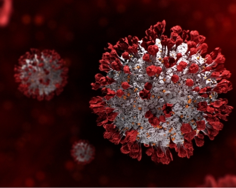 Fictional Image of Coronavirus Infection Looped, 