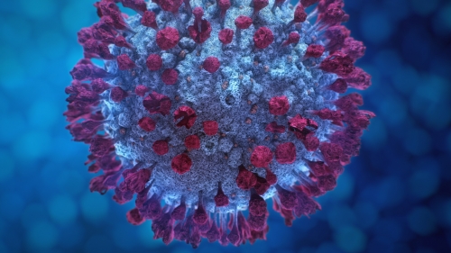 Fictional Image of Coronavirus Infection Looped 3, 