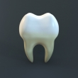 Человеческий зуб / Human Tooth, 